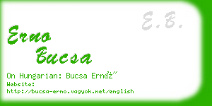 erno bucsa business card